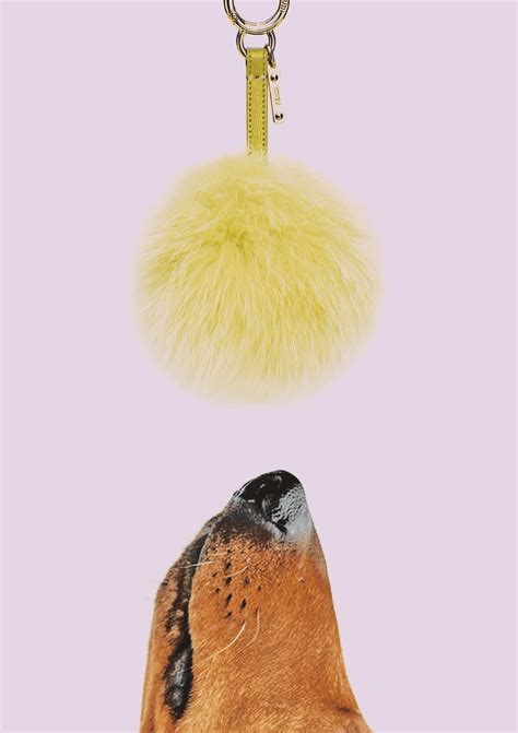 fendi handbag charms kylie jenner|Kylie Jenner's Dog Chews on a $400 Fendi Fur Bag Charm .